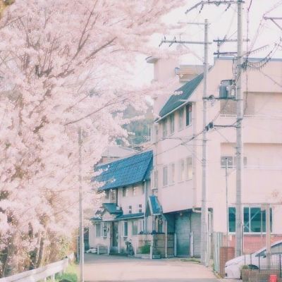 光明之地手游官方