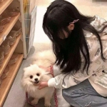 代号英雄360手游下载